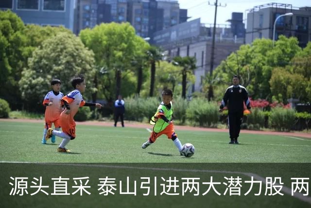 源头直采 泰山引进两大潜力股 两外援抵达济南